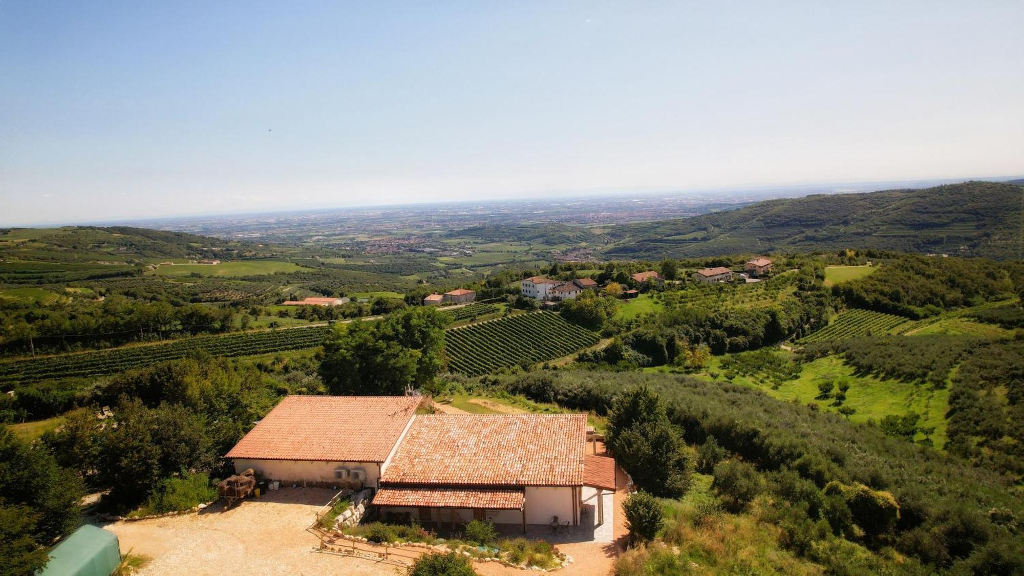 Agriturismo La Perlara - Adults Only Верона Екстер'єр фото